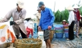 Tôm nước lợ "đảo chiều" tăng giá mạnh vào cuối năm