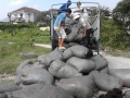 Khánh Hòa: Luân canh tôm sú - rong câu