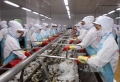 'Cú hích' cho tôm Việt tại thị trường châu Âu