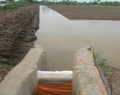 “Giải mặn, tích ngọt” khi nuôi tôm trong ruộng lúa nhằm thích ứng với biến đổi khí hậu