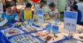 Tranh nhau mua cá, tôm…với thương lái Trung Quốc