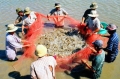 Bạc Liêu đi lên từ biển