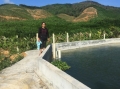 Trang trại bạc tỉ dưới chân đèo