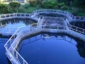 Aquachile: Trang trại nuôi cá hồi đạt được chứng nhận GlobalGAP