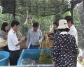 Sở KHCN Khánh Hoà nghiệm thu đề tài chuyển giao kỹ thuật trồng rong nho cho huyện đảo Trường Sa