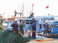 Không để ngư dân tự “bơi”