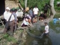 Nghệ An: Hiệu quả mô hình ương nuôi cá giống cấp 2 tại Kỳ Sơn