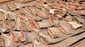 Ecuador thu giữ 200.000 vây cá mập lậu
