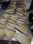 Hải quan Hồng Kông thu giữ 16 kg vây cá mập