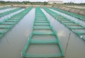 Quản lý sản phẩm xử lý, cải tạo môi trường dùng trong nuôi trồng thủy sản