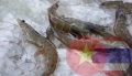 Việt Nam-Thái Lan tăng cường hợp tác thủy hải sản