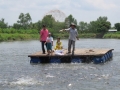 Thực hiện VietGAP cho cá tra vẫn còn nhiều khó khăn