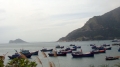 Xử lý vụ người nước ngoài nuôi cá trái phép tại Phú Yên