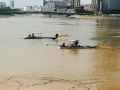 Cá trên sông Sài Gòn vẫn bị tận diệt