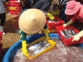 Phường Phước Hội (Bình Thuận): Vụ cá nam, giá cá thấp, thu nhập ngư dân giảm một nửa