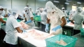 Tỷ giá năm 2013 sẽ tăng không quá 2%