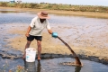 Quảng Ninh: Nhiều hộ dân xả nước và tôm chết ra môi trường
