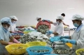 Bạc Liêu XK thủy sản đạt kỷ lục