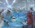 Khánh Hòa hoàn thành kế hoạch xuất khẩu thủy sản năm 2012