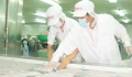 Vì sao xuất khẩu thủy sản giảm mạnh?