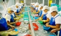 Năm 2017 xuất khẩu thủy sản dự kiến đạt 7,4 tỷ USD
