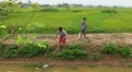 Quảng Trị: Gia tăng nạn đánh bắt thủy sản bằng xung điện