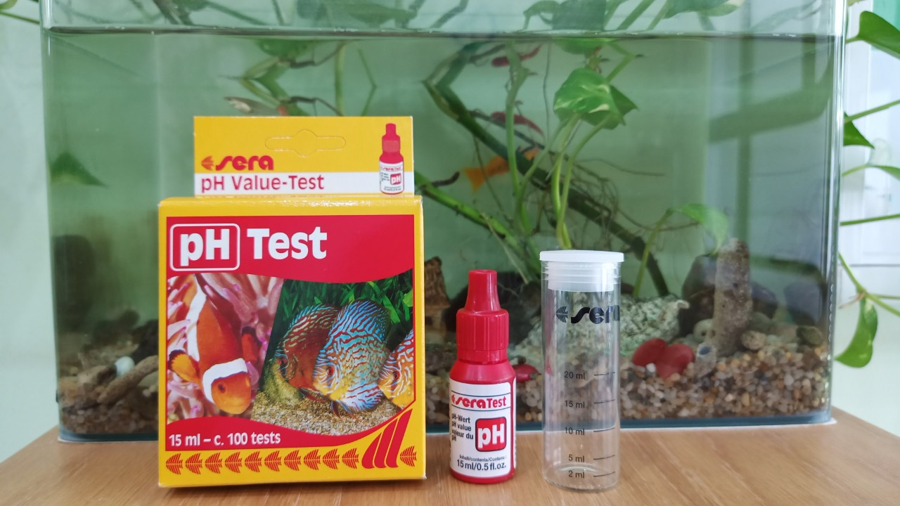 TEST PH SERA - Ảnh 2