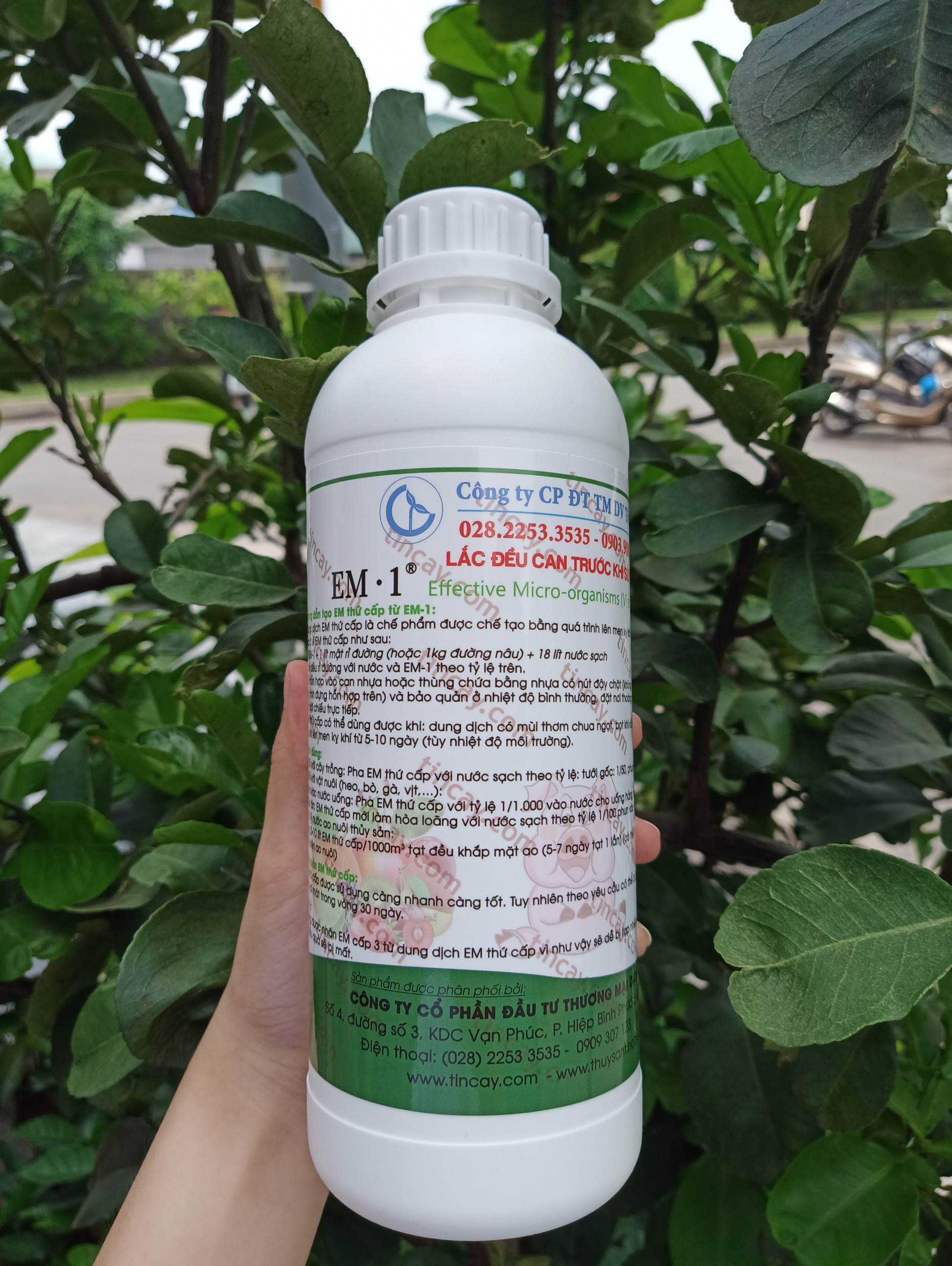 COMBO EM1 (EM GỐC) + MẬT RỈ  ĐƯỜNG 1 LÍT - Ảnh 3