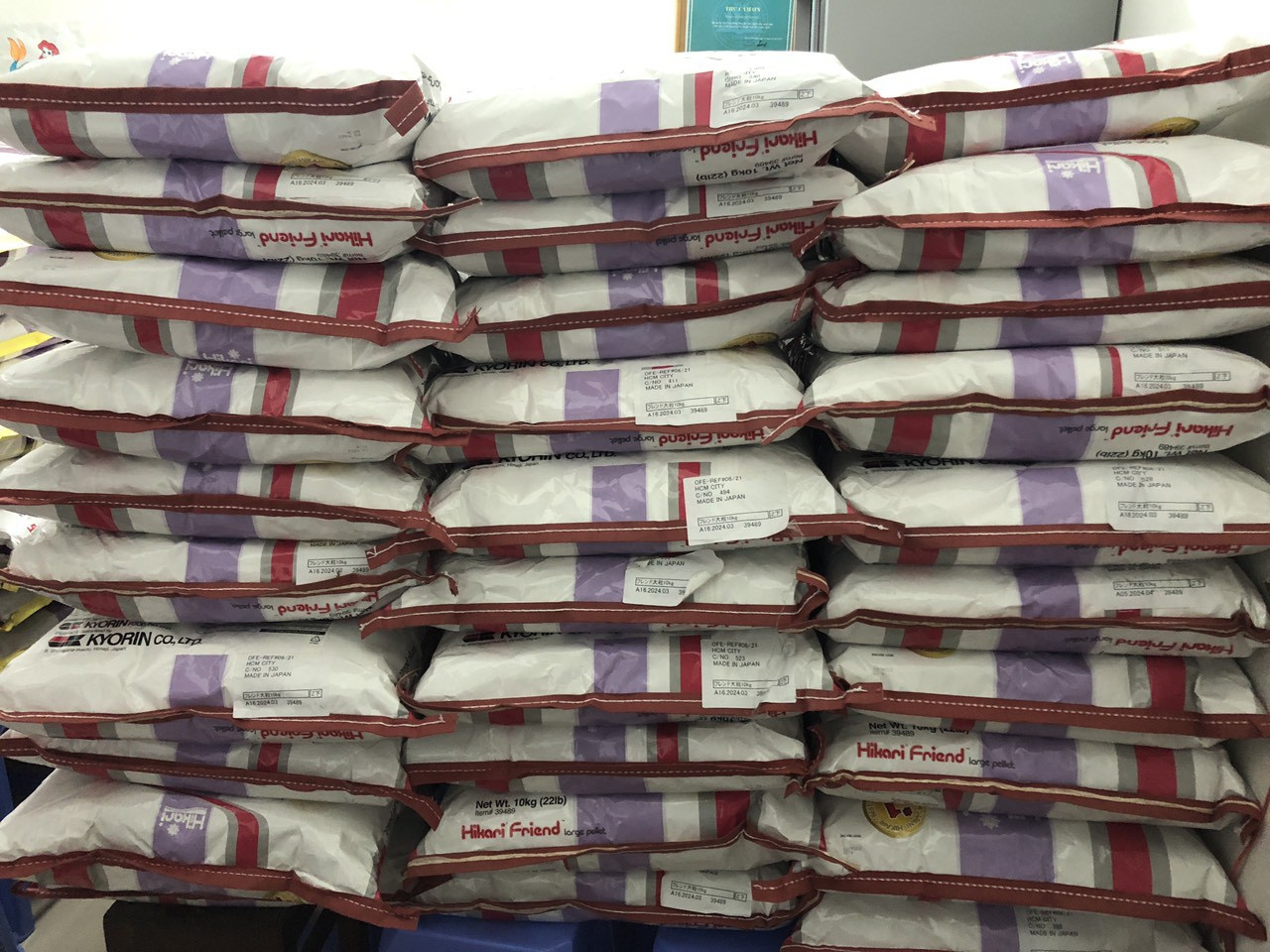 HIKARI FRIEND - Ảnh 5