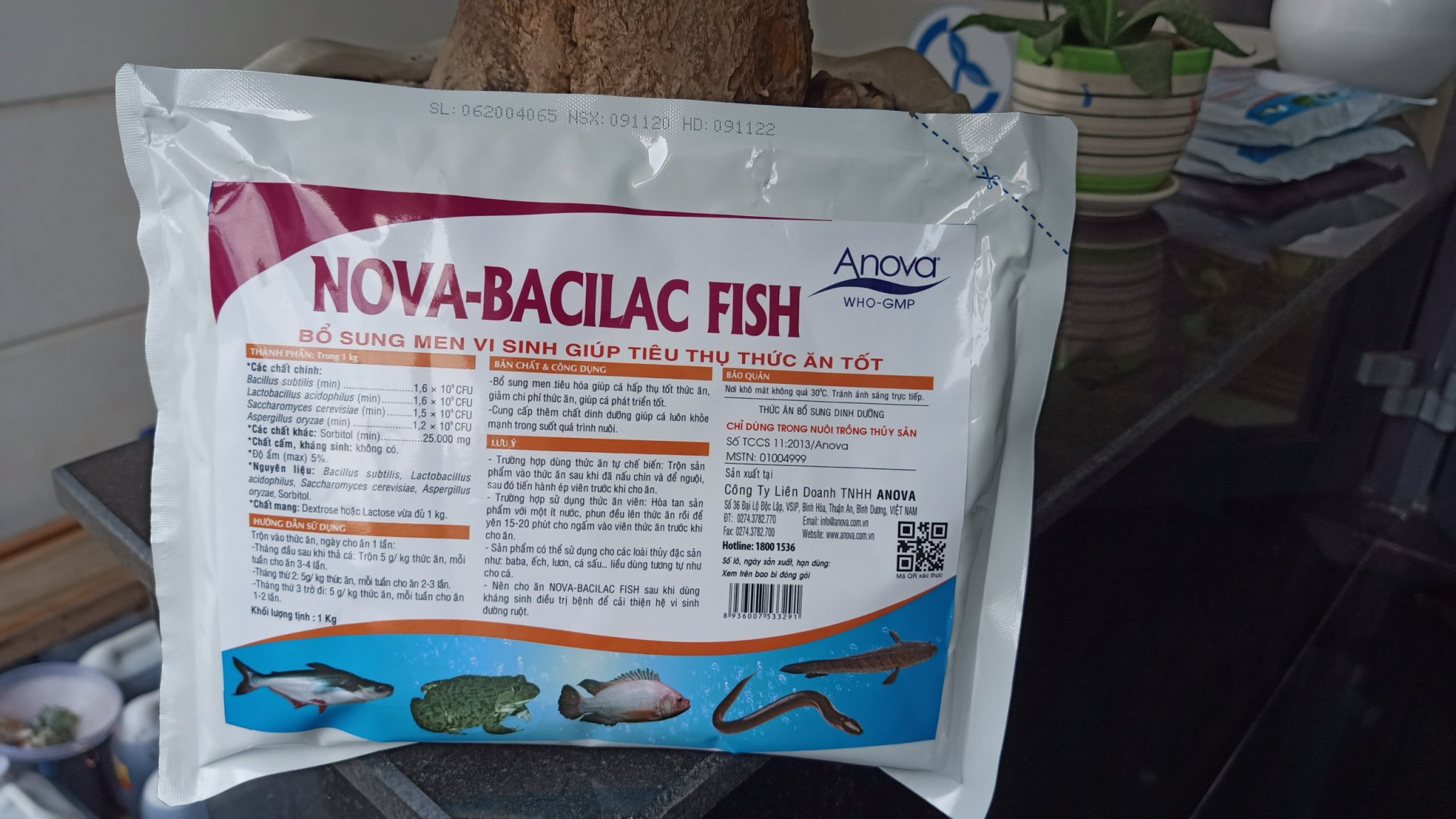 Nova-Bacilac Fish - Ảnh 4