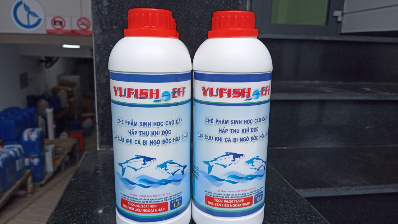 YUFISH - Ảnh 3