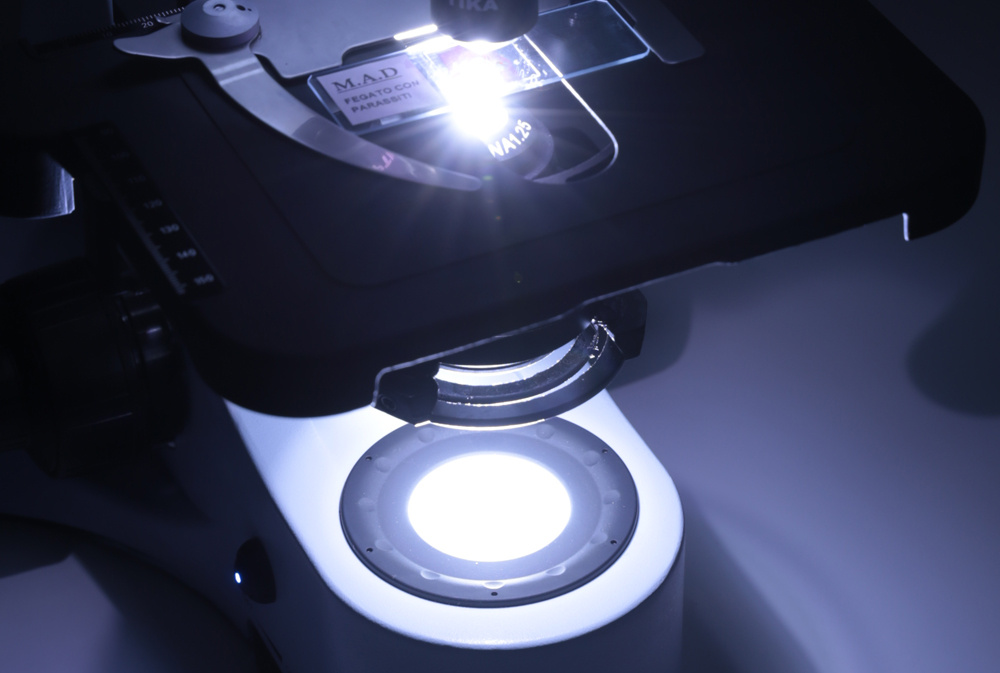 KÍNH HIỂN VI 3 MẮT OPTIKA B293 - Ảnh 2