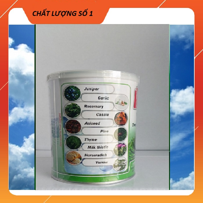 BT 8000 - Ảnh 4