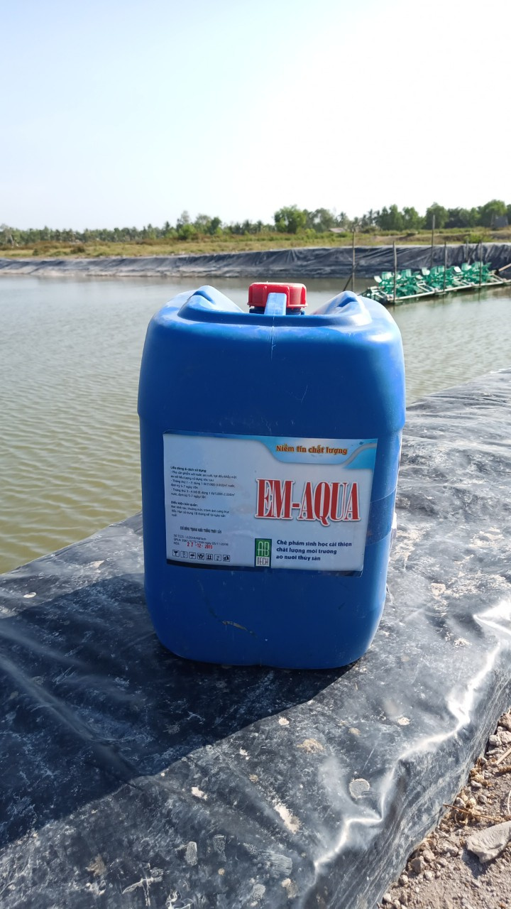 EM Aqua (EM gốc) - Ảnh 2