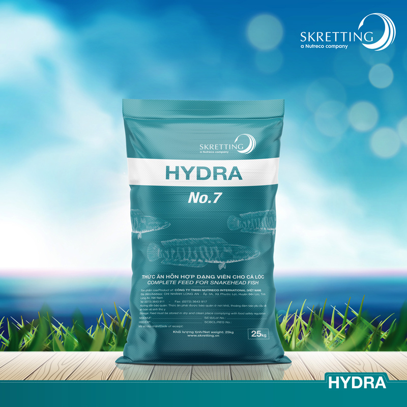 HYDRA - Ảnh 3