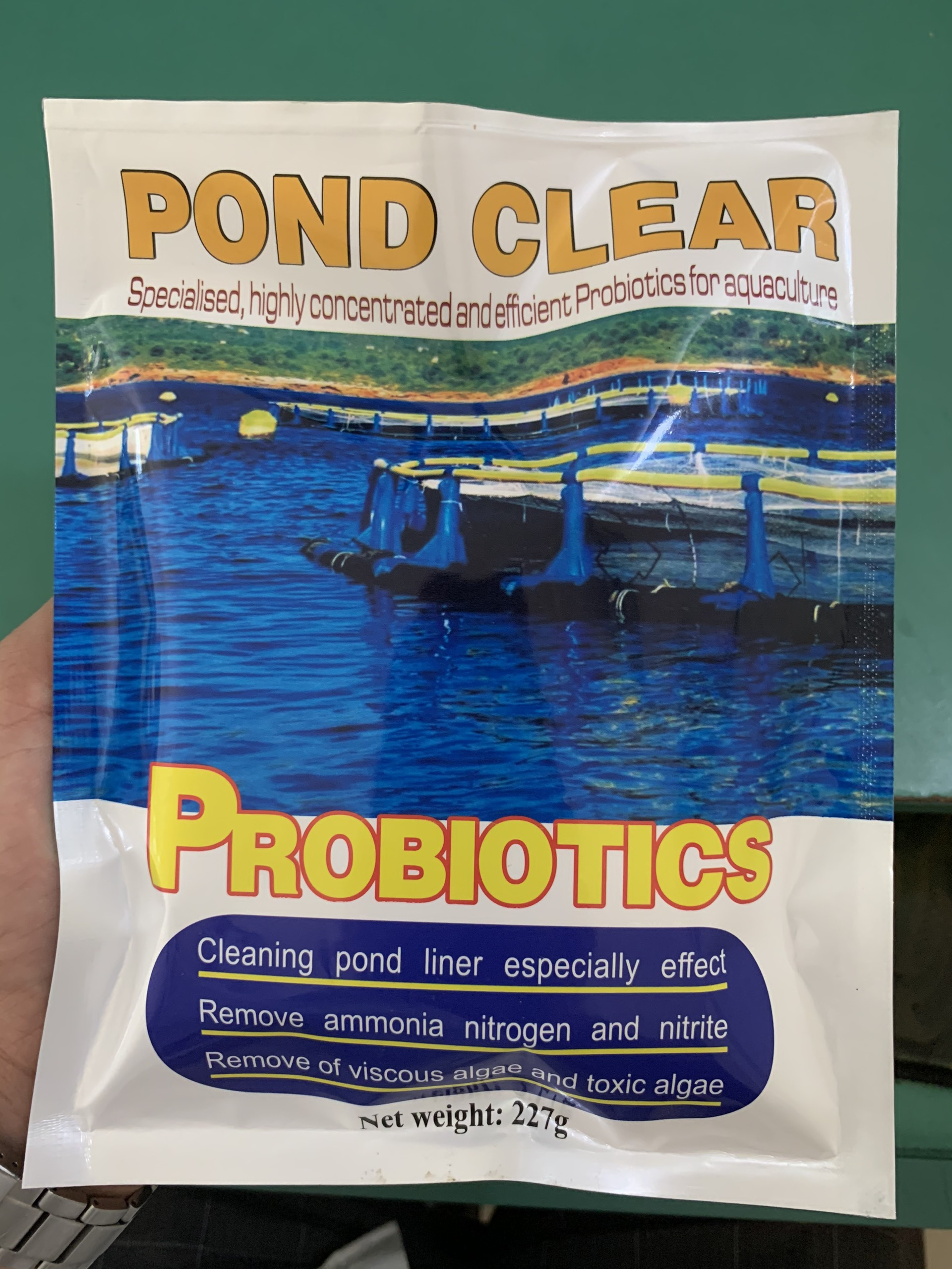 Pond Clear - Ảnh 4