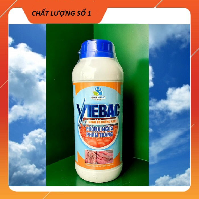 VIEBAC - Men vi sinh đường ruột dạng nước