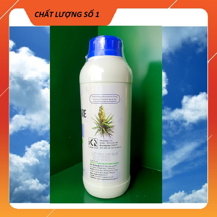 Yucca care - Ảnh 3