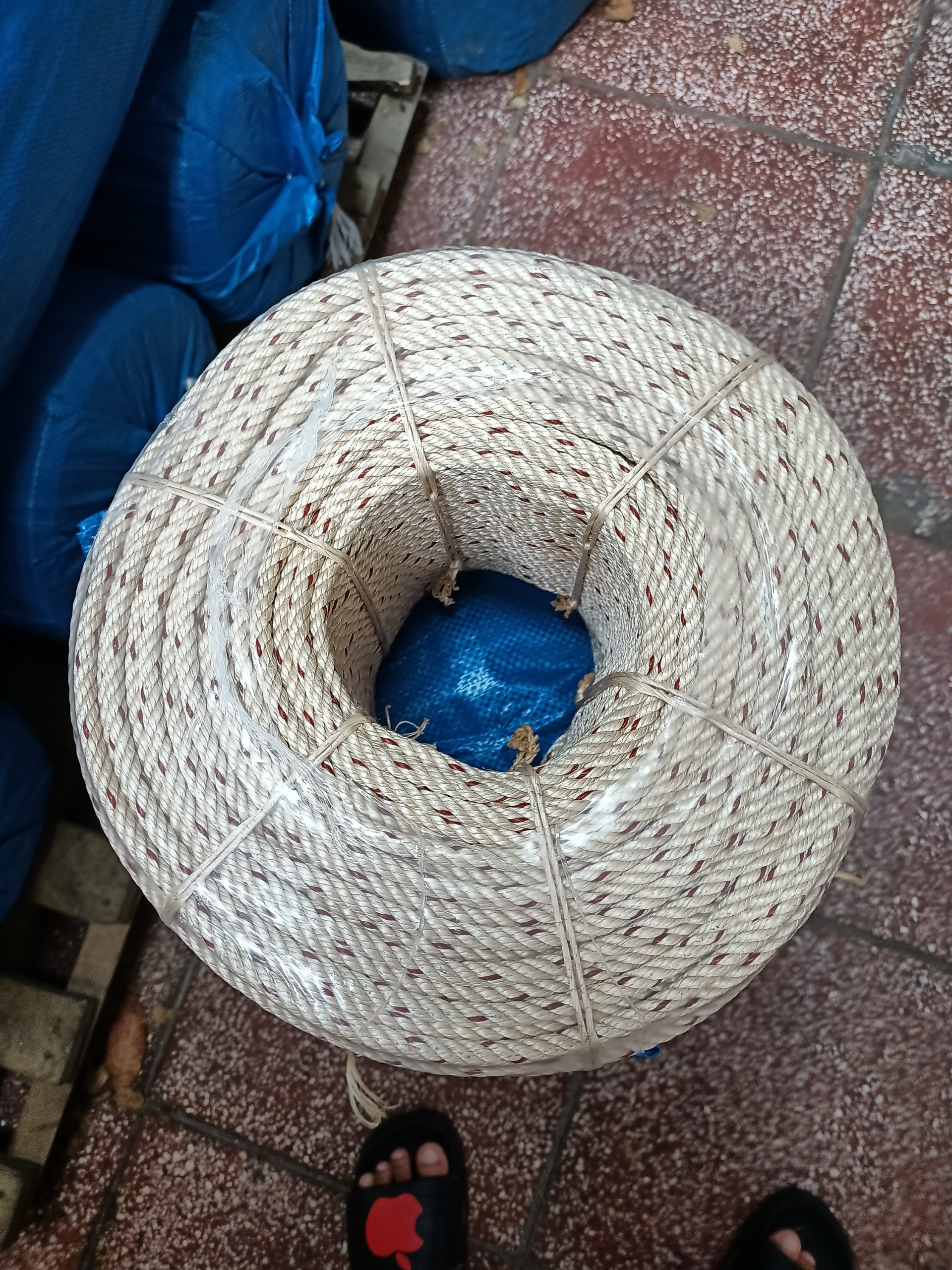 ASIAN DRAGON - Ảnh 3