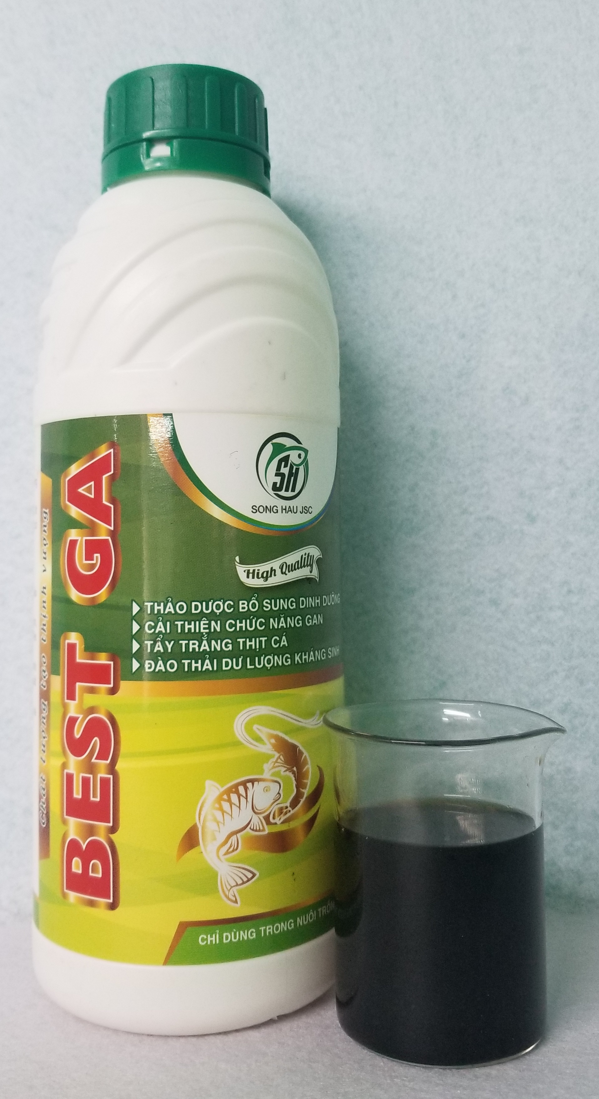 Best Ga - Ảnh 2