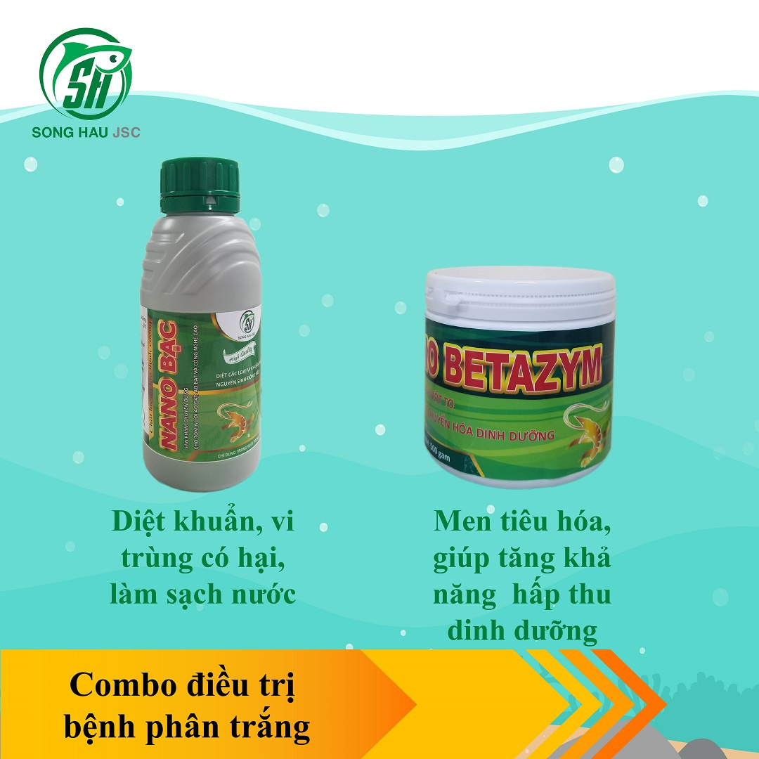 Combo trị bệnh phân trắng ở TÔM - Ảnh 3