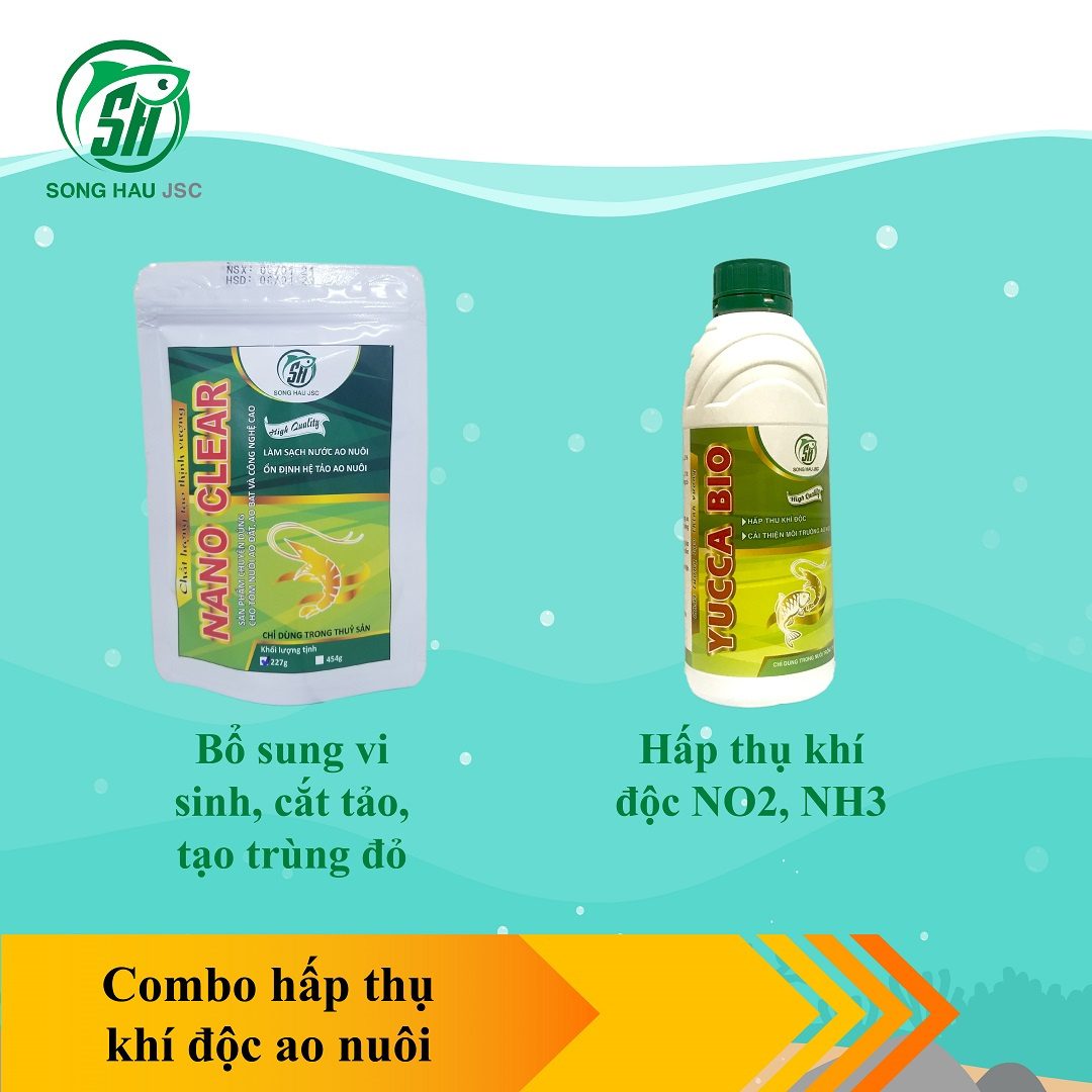 Combo hấp thu khí độc ao nuôi TÔM - Ảnh 4