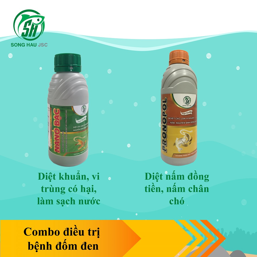 Combo trị bệnh đốm đen ở TÔM - Ảnh 3