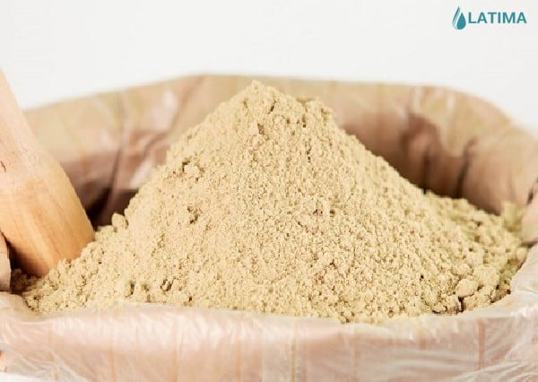 BACILLUS SUBTILIS - Ảnh 2