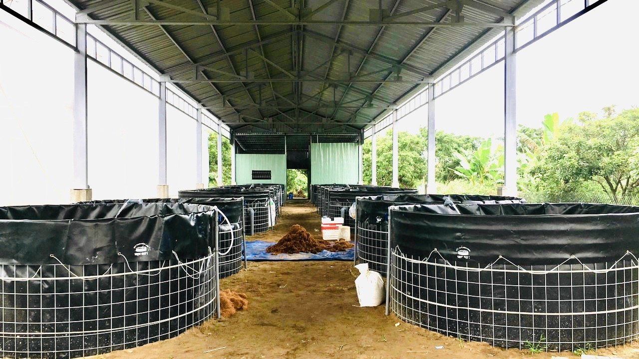 Ao ương di động - Ảnh 3