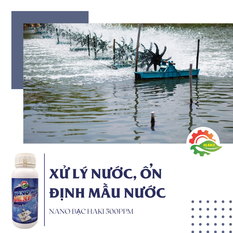 Nano bạc Haki 500ppm - Ảnh 4