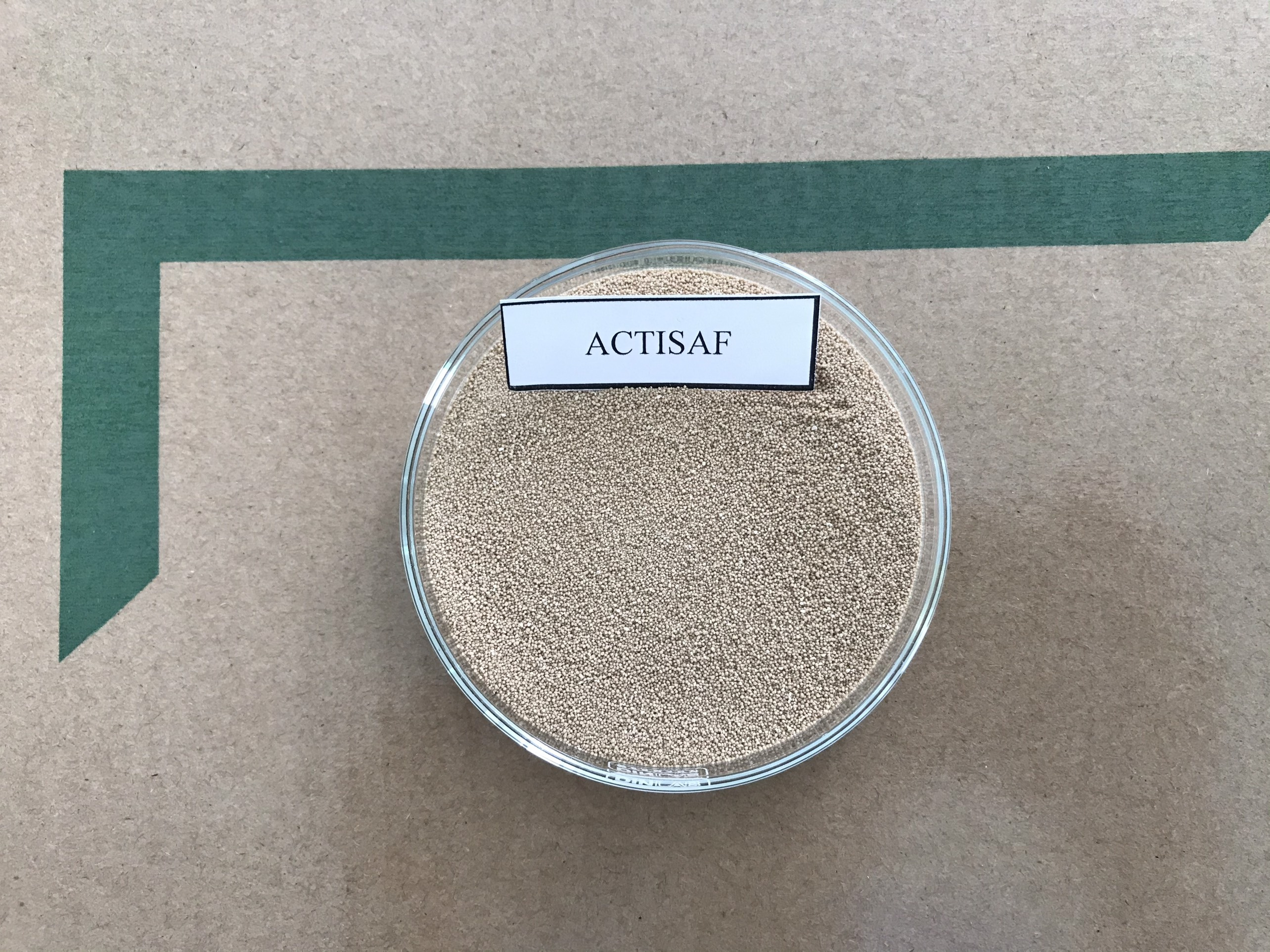 ACTISAF POWDER - Ảnh 3