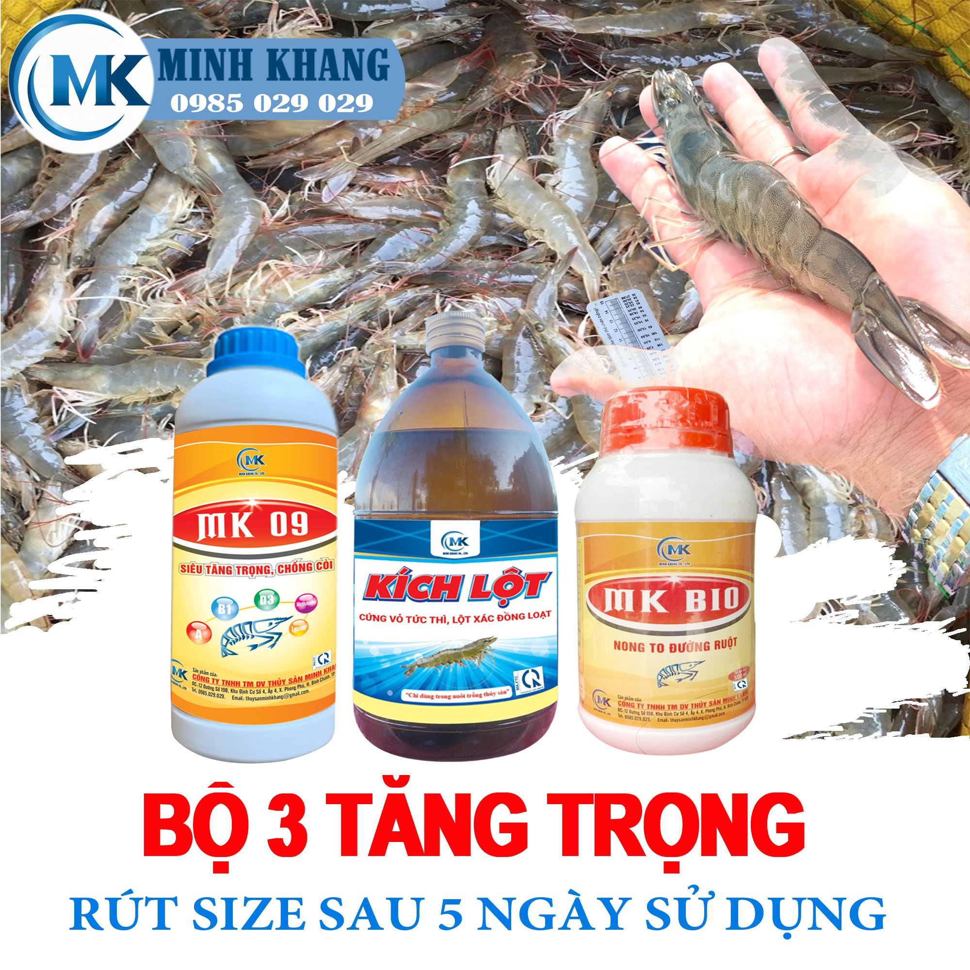 Bộ 3 tăng trọng MK09 - KÍCH LỘT - MK BIO - Ảnh 2