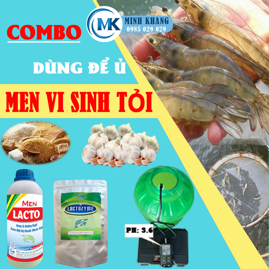 Combo dùng để ủ men vi sinh tỏi - Ảnh 2