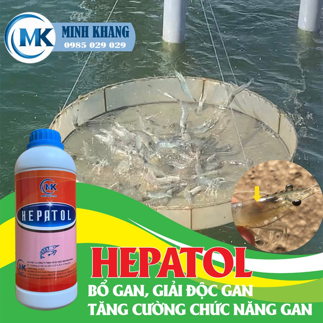 HEPATOL - Ảnh 2
